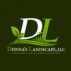 Donna's Landscape